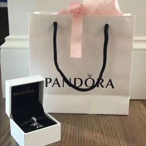 Pandora NWOT “21” Charm